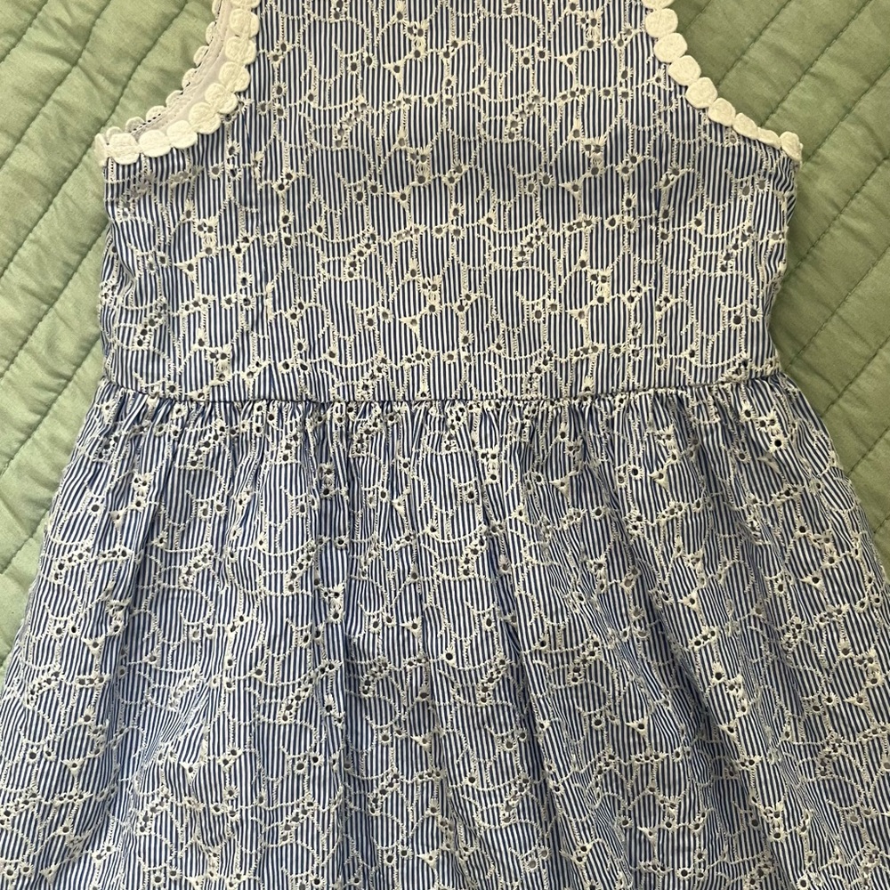 Lilly Pulitzer Blue and White Kids Dress